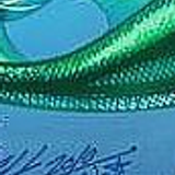 ariel6x8 22
