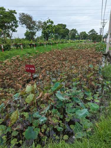 PXL 20221120 041059877.jpg