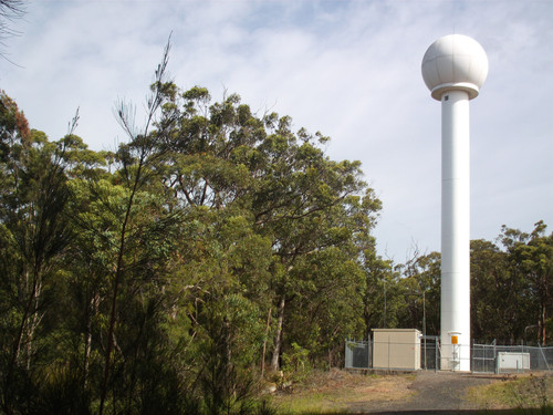 5.3.2010 lemontree bushwalk (11).jpg