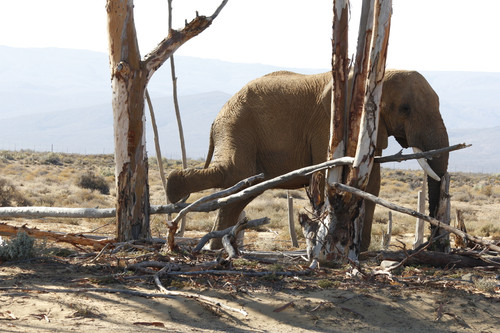  MG 1308.jpg