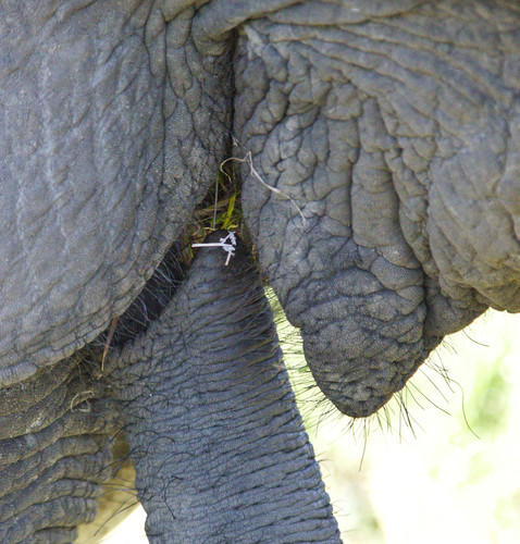 IMG 8343.jpg