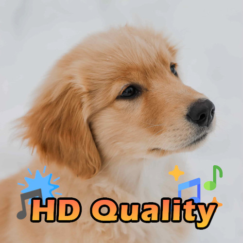 Dog Sounds ICON.jpg