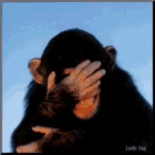 a.gif