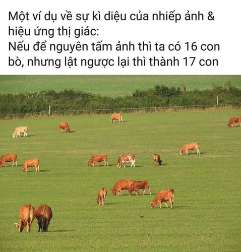 F04B06B0 F379 4031 8548 70D38BA7CC56.jpg