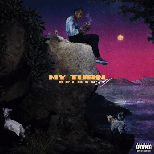 myturndeluxe 1.gif