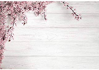 fondo monica lindo.jpg