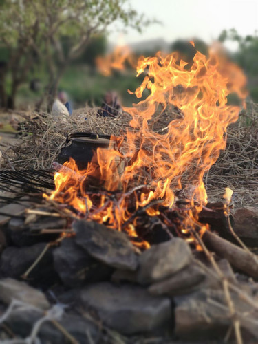 photo 2022 11 20 09 14 11.jpg