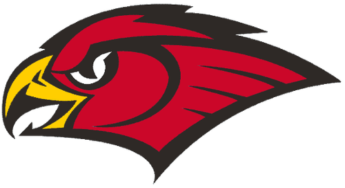 Hawks Alt 95 07.png
