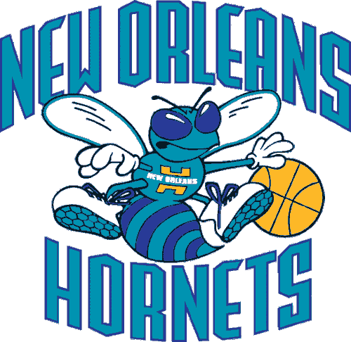 NO Hornets 02 08.gif