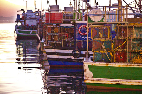 20180707 0728 Kalk Bay 015015 115 4.5.jpg