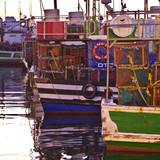 20180707 0728 Kalk Bay 015015 115 4.5