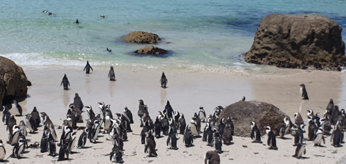 IMG 20221114 WA0009.jpg