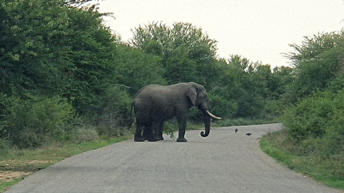 IMG 20221031 WA0002.jpg