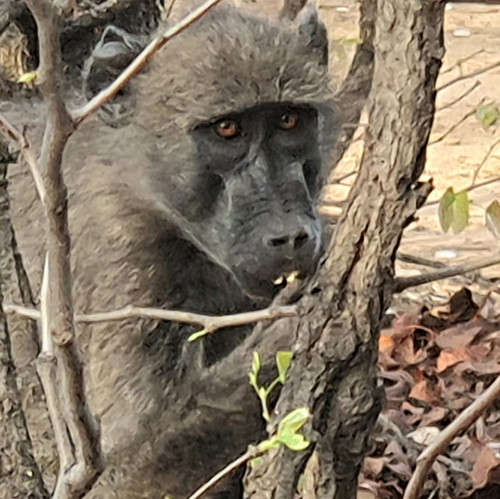 IMG 20221103 WA0025.jpg