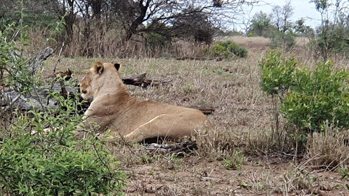 IMG 20221103 WA0012.jpg