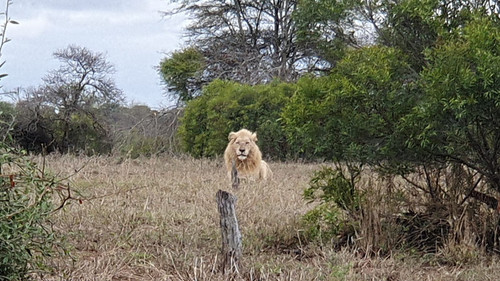 IMG 20221103 WA0022.jpg