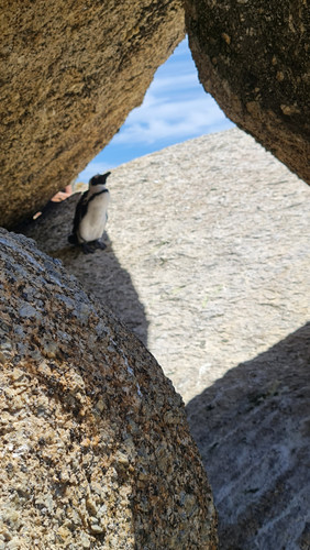 20221114 121048.jpg