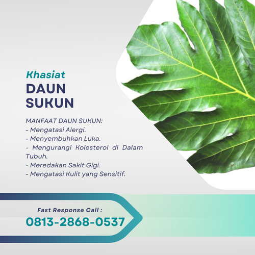 Desain 779 Daun Sukun.png