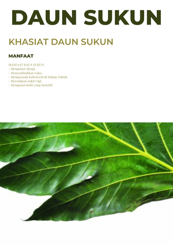 Desain 780 Daun Sukun.png