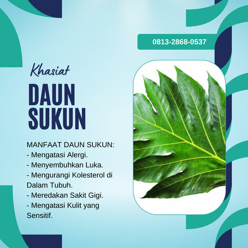 Desain 777 Daun Sukun.png