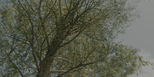 f671a21728fd.png