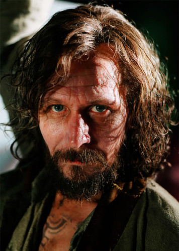 sirius black prisoner of azkaban portrait 2.jpg