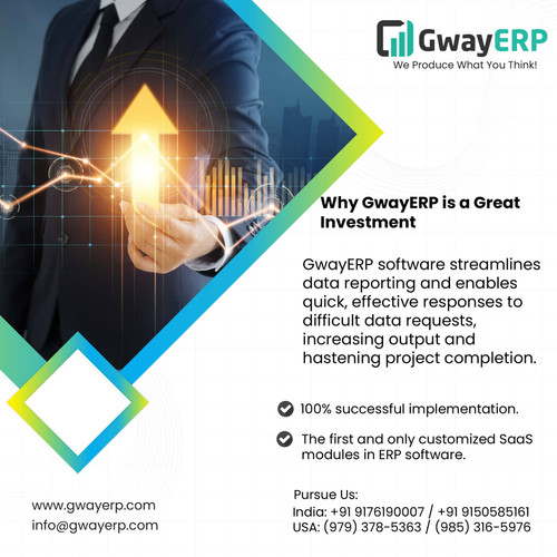 GwayERP Investment 01.jpg