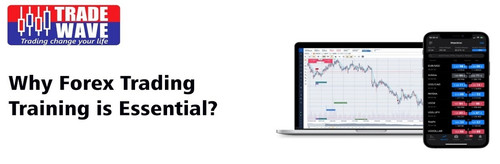 Why Forex Trading Training.jpg