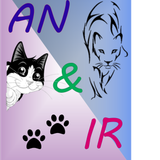AN IR