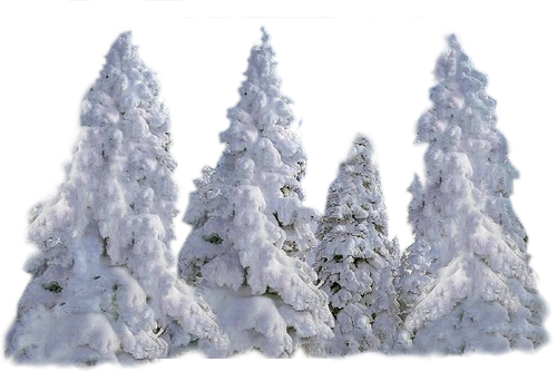 24204553.png