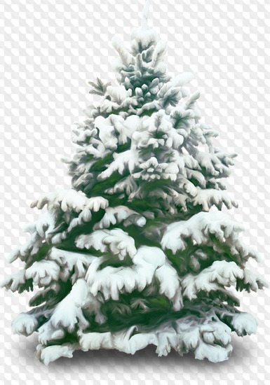 1563198948 trees 13.jpg