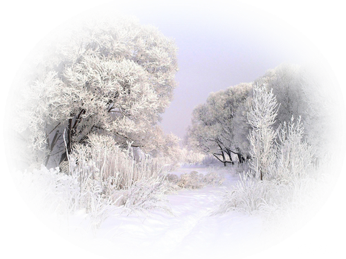 1481876090 winter backgrounds 2 06.png