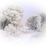 1481876090 winter backgrounds 2 06