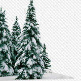 1563198982 trees 10