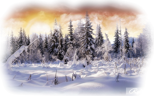1481876140 winter backgrounds 2 10.png