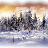 1481876140 winter backgrounds 2 10