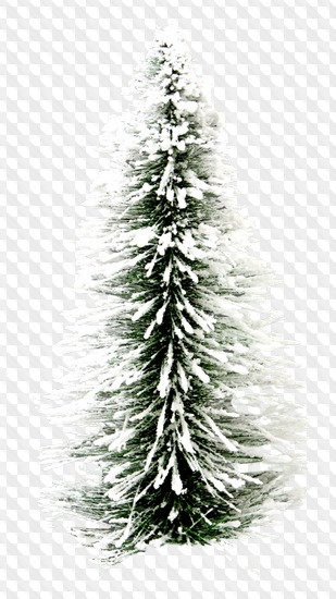 1563198942 trees 12.jpg