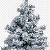 1563199002 trees 18