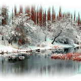 1481876150 winter backgrounds 2 08