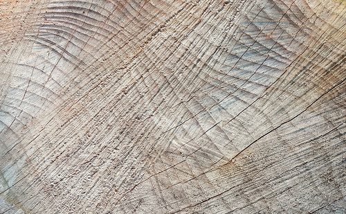 texture 2792479 960 720.jpg
