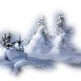 winter DoV (38)