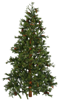 елка3.png