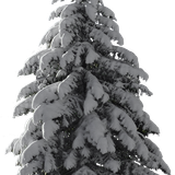 kisspng christmas tree snow fir tree 5ace4a95bef912.3108470115234689497822