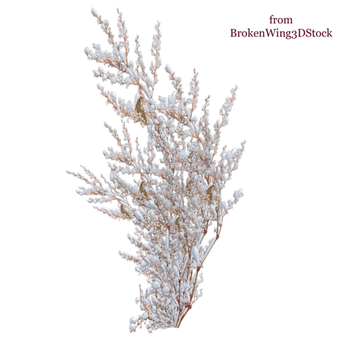 kisspng shrub snow tree rose snow tree 5ac4a312572396.5152578015228362423569.png