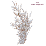 kisspng shrub snow tree rose snow tree 5ac4a312572396.5152578015228362423569