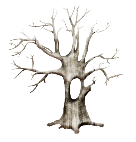 kisspng christmas tree branch snow snow branches 5ae766d81e5761.3071347515251145841243.png