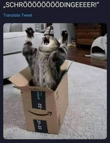 meme6.jpg