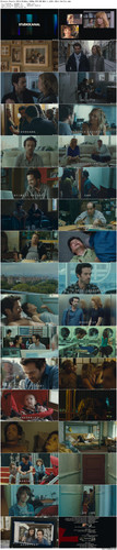 Chinese.Puzzle.2013.BluRay.1080p.DTS HD.MA5.1.x265.10bit BeiTai preview.jpg