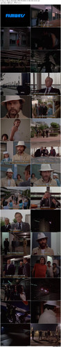 21.Hours.at.Munich.1976.BluRay.1080p.DTS HD.MA.2.0.x265.10bit BeiTai preview.jpg