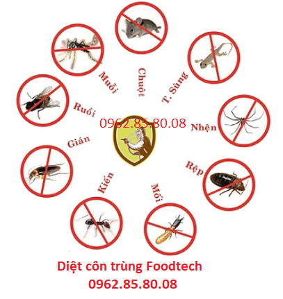 1605 CÔNG TY TNHH FOODTECH (1).png